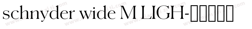 schnyder wide M LIGH字体转换